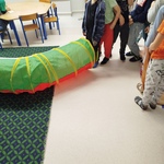 Dzień Jeż 1 (6).jpg